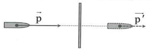 Bài tập ôn tập Vật Lí 10 Cánh diều Chủ đề 4 (có đúng sai, trả lời ngắn)