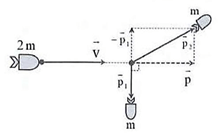 Bài tập ôn tập Vật Lí 10 Cánh diều Chủ đề 4 (có đúng sai, trả lời ngắn)