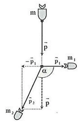 Bài tập ôn tập Vật Lí 10 Cánh diều Chủ đề 4 (có đúng sai, trả lời ngắn)