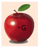 Biểu diễn trọng lực tác dụng lên quả táo (G là trọng tâm)