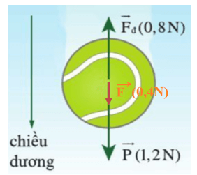 Xác định độ lớn và hướng của hợp lực F bằng cách dựng các vectơ lực P