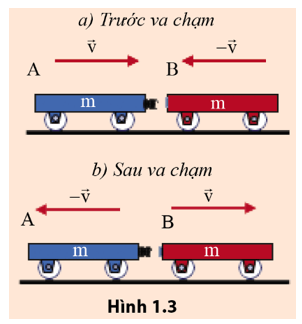Hãy biểu diễn độ thay đổi động lượng của từng xe sau khi va chạm (hình 1.3)
