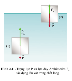 So sánh lực đẩy Archimedes tác dụng lên cùng một vật khi nó ở hai vị trí (1) và vị trí (2) trong hình 2.11