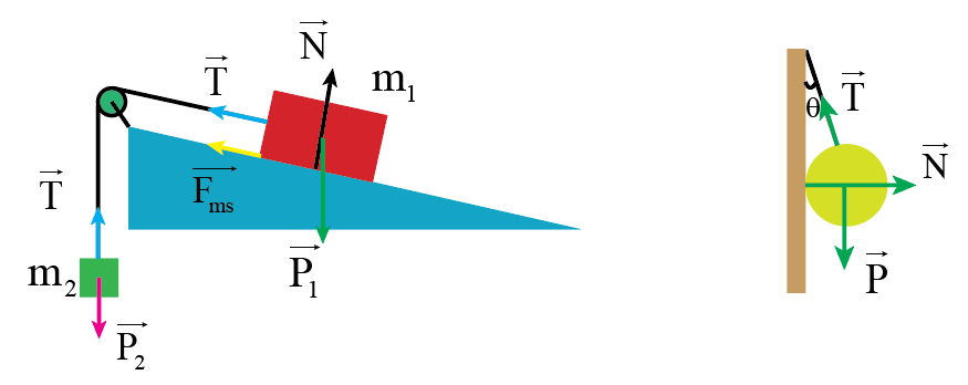 Xét hai hệ như hình 11P.1, hãy vẽ sơ đồ lực tác dụng lên vật m1, m2