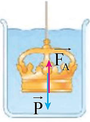 Hãy vẽ vectơ lực đẩy Archimedes tác dụng lên vương miện trong hình 11.15