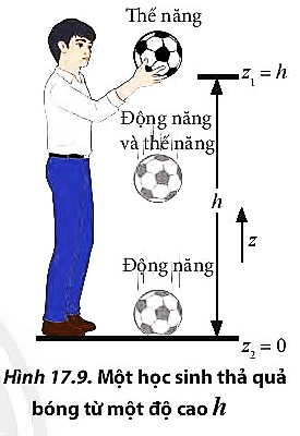 Phân tích lực tác dụng lên quả bóng và sự chuyển hóa giữa động năng và thế năng
