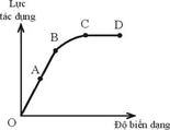Bài tập ôn tập Vật Lí 10 Kết nối tri thức Chương 7 (có đúng sai, trả lời ngắn)