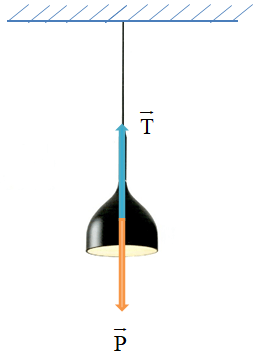 Một bóng đèn có khối lượng 500 g được treo thẳng đứng vào trần nhà bằng một sợi dây