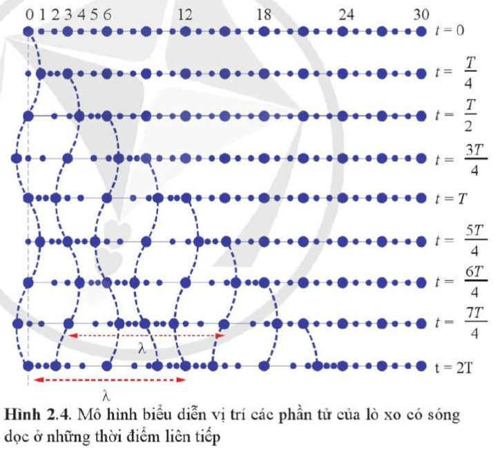 So sánh trạng thái chuyển động của phần tử số 12 ở thời điểm 5T/4 trong Hình 1.4 và Hình 2.4