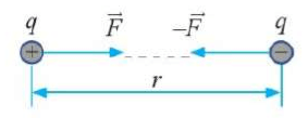 Hãy biểu diễn bằng hình vẽ lực tương tác giữa hai điện tích trái dấu nhau