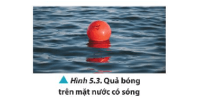 Quan sát Hình 5.3 và dự đoán phương chuyển động của quả bóng khi có sóng trên mặt nước