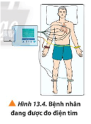 Trong máy đo điện tim, các điện cực được sử dụng để đo hiệu điện