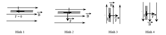 Bài tập ôn tập Vật Lí 12 Cánh diều Chủ đề 3 (có đúng sai, trả lời ngắn)