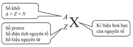 Lý thuyết Vật Lí 12 Cánh diều Bài 1: Cấu trúc hạt nhân