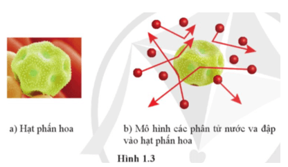 Lý thuyết Vật Lí 12 Cánh diều Bài 1: Mô hình động học phân tử chất khí