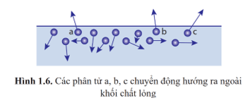 Lý thuyết Vật Lí 12 Cánh diều Bài 1: Sự chuyển thể của các chất