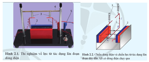 Lý thuyết Vật Lí 12 Cánh diều Bài 2: Lực từ tác dụng lên đoạn dây dẫn mang dòng điện. Cảm ứng từ