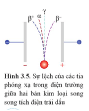 Lý thuyết Vật Lí 12 Cánh diều Bài 3: Phóng xạ