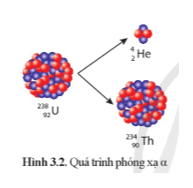 Lý thuyết Vật Lí 12 Cánh diều Bài 3: Phóng xạ