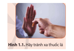 Khói thuốc lá sẽ gây ảnh hưởng trong phạm vi bán kính 7m - 10 m