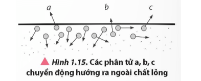 Lý thuyết Vật Lí 12 Chân trời sáng tạo Bài 1: Sự chuyển thể