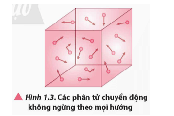 Lý thuyết Vật Lí 12 Chân trời sáng tạo Bài 1: Sự chuyển thể