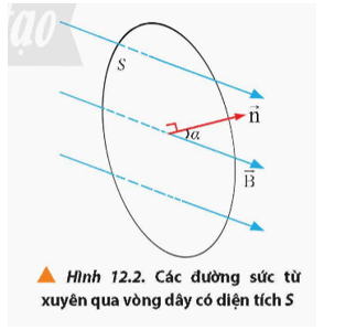 Lý thuyết Vật Lí 12 Chân trời sáng tạo Bài 12: Hiện tượng cảm ứng điện từ