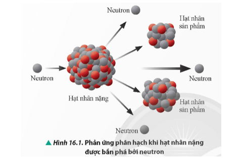 Lý thuyết Vật Lí 12 Chân trời sáng tạo Bài 16: Phản ứng phân hạch, phản ứng nhiệt hạch và ứng dụng