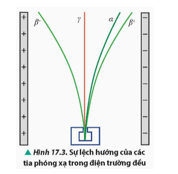 Lý thuyết Vật Lí 12 Chân trời sáng tạo Bài 17: Hiện tượng phóng xạ