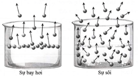 Lý thuyết Vật Lí 12 Kết nối tri thức Bài 1: Cấu trúc của chất. Sự chuyển thể