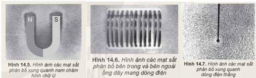 Lý thuyết Vật Lí 12 Kết nối tri thức Bài 14: Từ trường