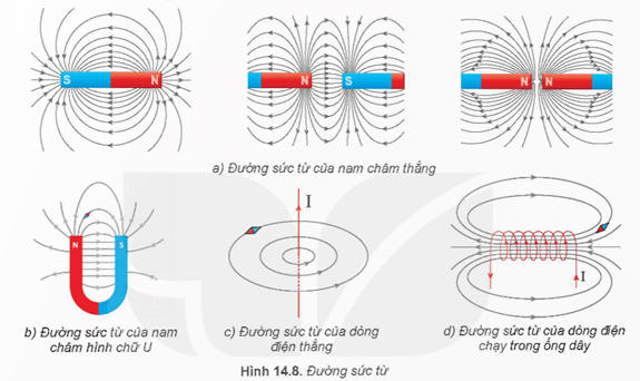 Lý thuyết Vật Lí 12 Kết nối tri thức Bài 14: Từ trường