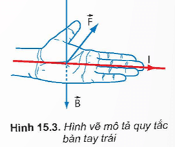 Lý thuyết Vật Lí 12 Kết nối tri thức Bài 15: Lực từ tác dụng lên dây dẫn mang dòng điện. Cảm ứng từ