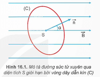 Lý thuyết Vật Lí 12 Kết nối tri thức Bài 16: Từ thông. Hiện tượng cảm ứng điện từ