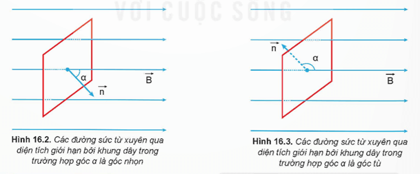 Lý thuyết Vật Lí 12 Kết nối tri thức Bài 16: Từ thông. Hiện tượng cảm ứng điện từ