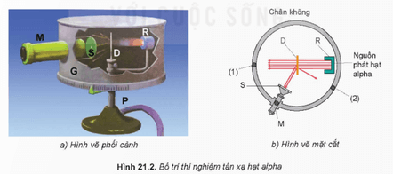 Lý thuyết Vật Lí 12 Kết nối tri thức Bài 21: Cấu trúc hạt nhân