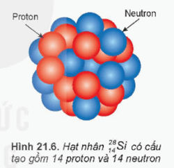 Lý thuyết Vật Lí 12 Kết nối tri thức Bài 21: Cấu trúc hạt nhân