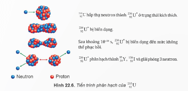 Lý thuyết Vật Lí 12 Kết nối tri thức Bài 22: Phản ứng hạt nhân và năng lượng liên kết