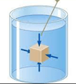 Bài toán liên quan đến lực đẩy Archimedes lớp 10 (cách giải + bài tập)