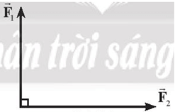Tổng hợp, phân tích các lực đồng quy lớp 10 (cách giải + bài tập)