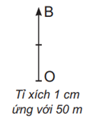 Xác định độ dịch chuyển, độ dịch chuyển tổng hợp của vật lớp 10 (cách giải + bài tập)