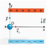 Bài toán chuyển động của điện tích trong điện trường đều lớp 11 (cách giải + bài tập)