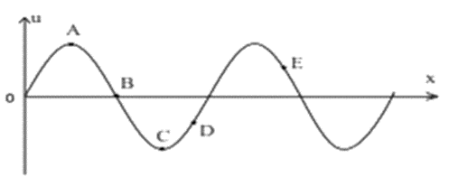 Sóng ngang, sóng dọc, sự truyền năng lượng của sóng cơ lớp 11
