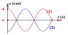 Xác định độ lệch pha giữa hai dao động cùng chu kì lớp 11 (cách giải + bài tập)
