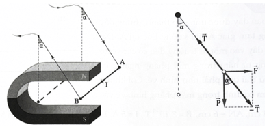 Bài toán lực từ (cách giải + bài tập)