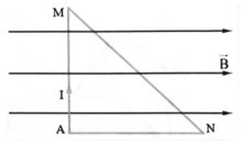 Bài toán lực từ (cách giải + bài tập)