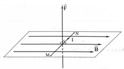 Bài toán lực từ (cách giải + bài tập)