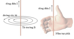 Lực từ tác dụng lên dây dẫn mang dòng điện. Cảm ứng từ lớp 12 (Chuyên đề dạy thêm Vật Lí 12)