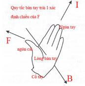 Lực từ tác dụng lên dây dẫn mang dòng điện. Cảm ứng từ lớp 12 (Chuyên đề dạy thêm Vật Lí 12)