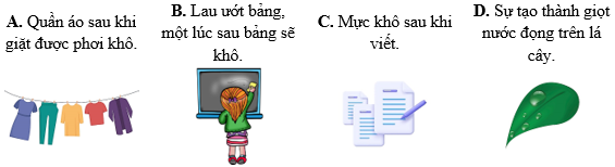 Nhiệt hóa hơi riêng lớp 12 (Chuyên đề dạy thêm Vật Lí 12)